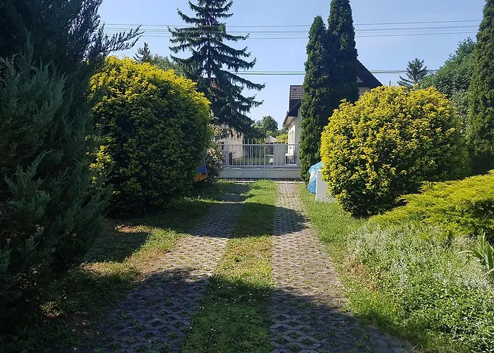 Meszaros Siófok